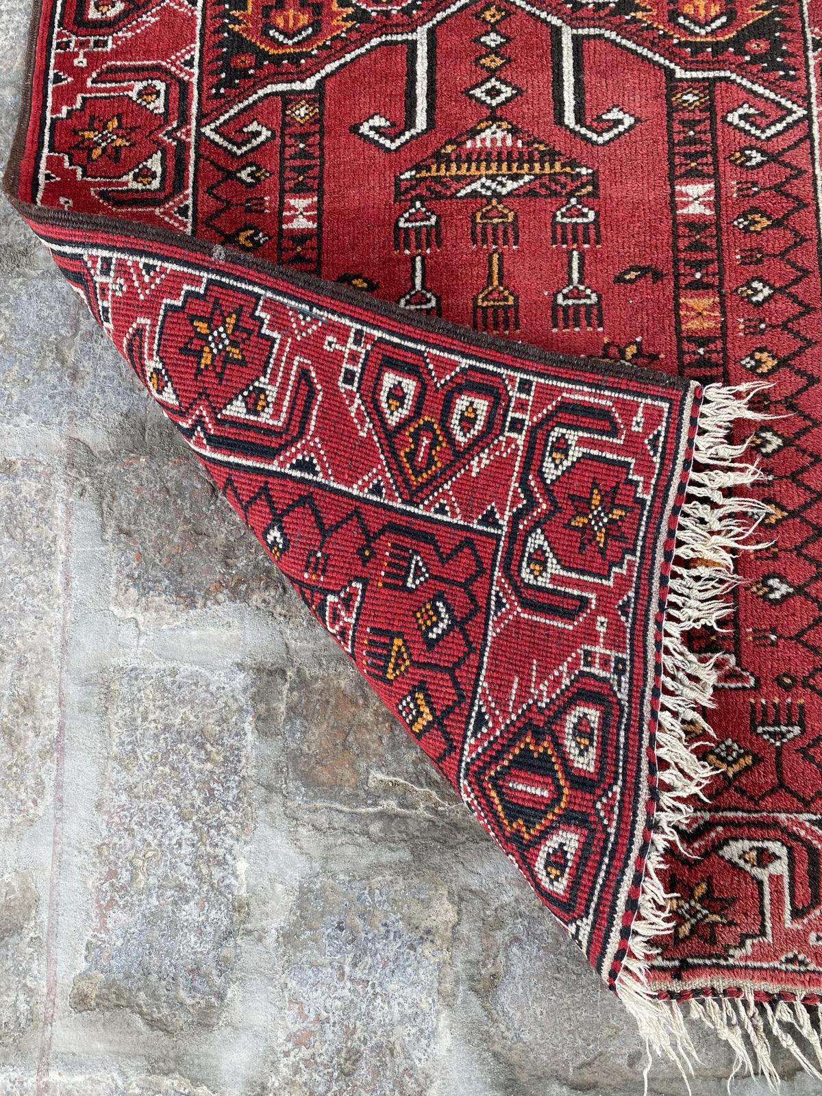 Turkoman Hand-knotted Wool Rug - Nomad Hues