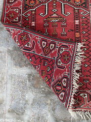 Turkoman Hand-knotted Wool Rug - Nomad Hues